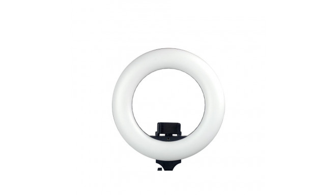 Caruba Round Vlogger 12 inch LED Set met Tas Zwart