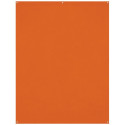 Westcott X Drop Kreukbestendige Achtergrond Tijger Oranje (1.5 x 2.1 m)