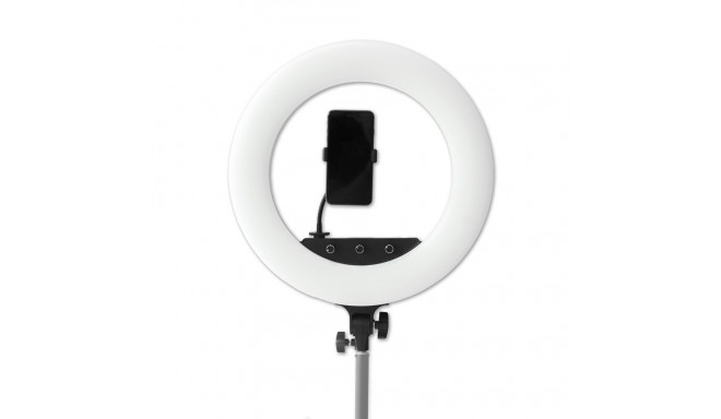 Caruba RGB Round Vlogger 18 inch LED Set met Tas Roze