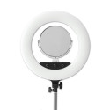 Caruba RGB Round Vlogger 18 inch LED Set met Tas Roze