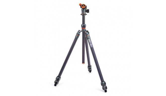 3 Legged Thing tripod Pro 2.0 Winston Carbon & AirHed Pro, grey