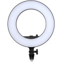 Godox ring light LR180 LED, black
