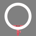 Godox LR150 LED Ring Light Pink