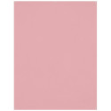 Westcott X Drop Kreukbestendige Achtergrond Licht Roze (1.5 x 2.1 m)