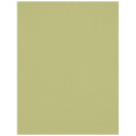 Westcott X Drop Kreukbestendige Achtergrond Mos Groen (1.5 x 2.1 m)