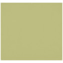 Westcott X Drop Pro Kreukbestendige Achtergrond Mos Groen (2.4 x 2.4 m)