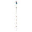 3 Legged Thing Pro 2.0 Leo Carbon tripod & AirHed Pro LV Bronze