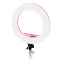 Caruba Round Vlogger 18 inch LED Set Economy met Tas Roze
