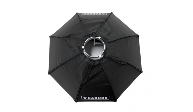Caruba Beautydish 80cm Zilver