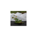 Non-woven 17 spring, white, 3,2 x 15m