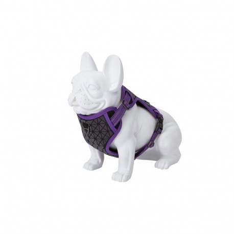 Freedog Boreal lilac braces for dogs 15mm 34-63cm