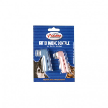 Record toothbrush set for dogs