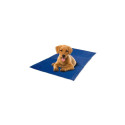 Record Stay Fresh blue cooling mat 90x50cm