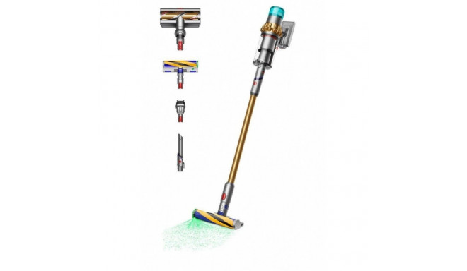 Vacuum Cleaner V15 Detect Absolute Gold