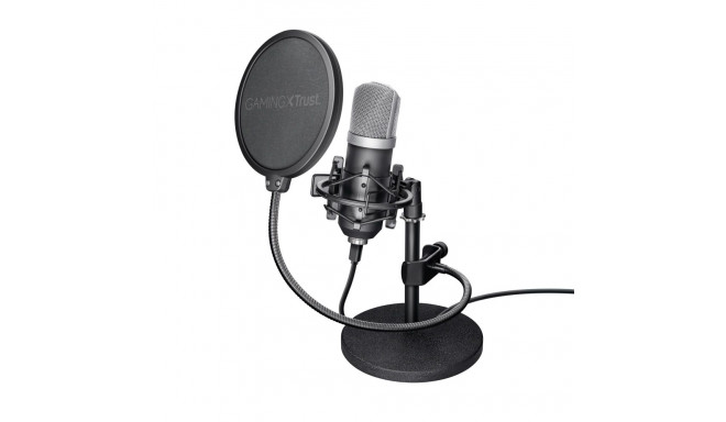MICROPHONE GXT 252 EMITA/21753 TRUST