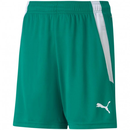 Puma laste lühikesed püksid teamLIGA Jr 704931 05 140cm, roheline