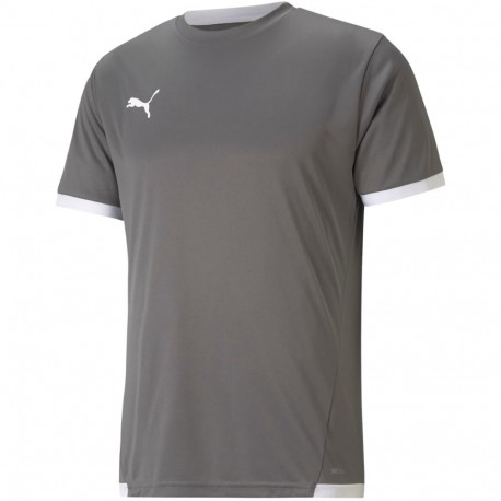 Puma meeste särk teamLIGA Jersey 704917 13 S, hall