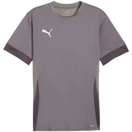 Puma meeste särk teamGoal Matchday Jersey 705747 13 M, hall
