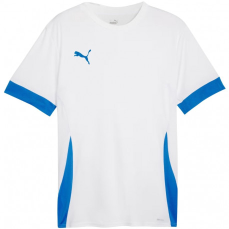 Puma meeste särk teamGoal Matchday Jersey 705747 12 XL, valge-sinine