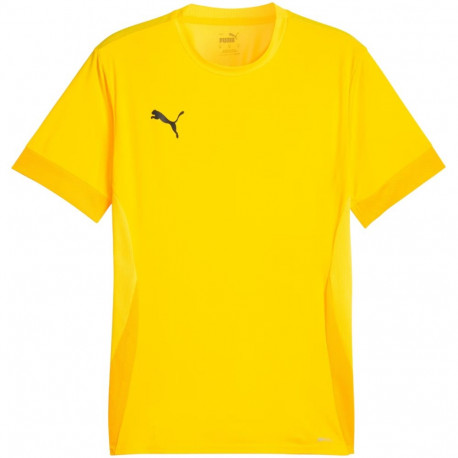 Puma meeste särk teamGoal Matchday Jersey 705747 07 S, kollane
