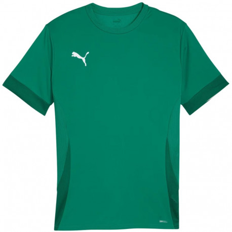 Puma meeste särk teamGoal Matchday Jersey 705747 05 S, roheline