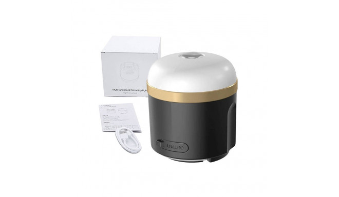 EcoFlow camping light