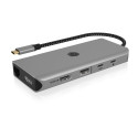 Icy Box USB-C 12w1