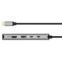 Icy Box USB-C 12w1
