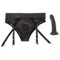 Your Strap-On Briefs & Dildo