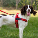 Dog harness REFLECTIVE SILK size L red