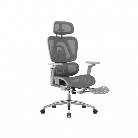Expert 7.9 Grey Swivel Chair