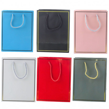 kingitusetkott kuldse raamiga eri värvi 23 x 18 x 10 cm