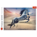 Puzzle - 1000 - majesteetlik hobune Trefl 10790