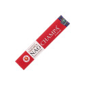 Incense Stick - Golden Nag Champa Smilkalai Vijayshree 15 Sticks
