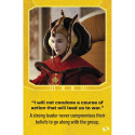 Toys & Games - Star Wars Affirmation Cards 52 Cards with Guide Box 10.5 x 17 x 3.9 cm