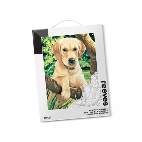 Maalimine numbrite järgi Reeves 30x40cm labrador