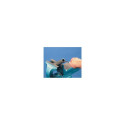 PFERD 11235308 file/rasp