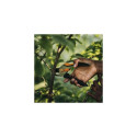 Fiskars Solid P331 pruning shears Bypass Black, Orange