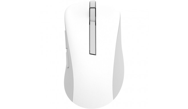 "ASUS MD102 Maus, weiß, Silent"