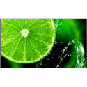 "E758 75IN LED LFD UHD"