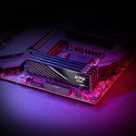 "32 GB ADATA DIMM 5600 (2x 16 GB) Dual-Kit (schwarz, AX5U5600C4616G-DTLABBK, XPG Lancer Blade, INTEL