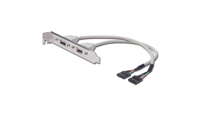 "DIGITUS Slotblech 2xUSB/A -> IDC 2x5Pin Bu/Bu 0.25m Polybeutel"