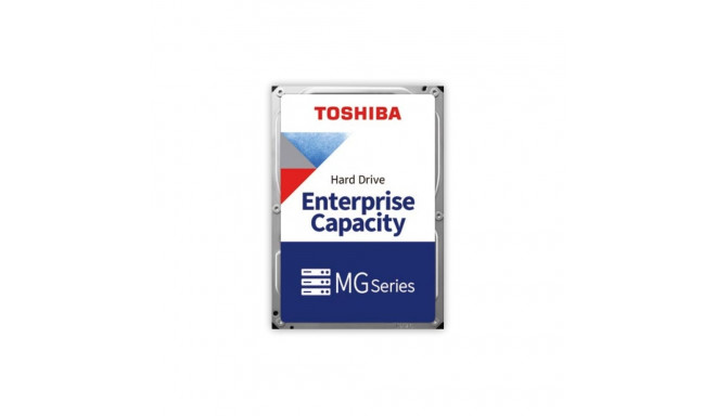 "ENTERPRISE CAPACITY HDD 20TB"