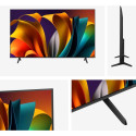 "Hisense 55A6N"
