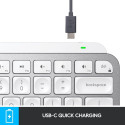 "MXKEYS MINI WRLS ILLUMINATED KB"