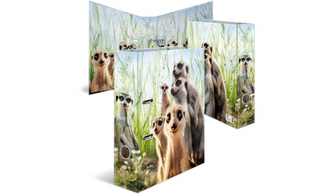 "HERMA Ordner A4 Karton Erdmännchen"