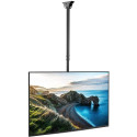 "Techly Ramie sufitowe LCD (020614) 42"" XL"