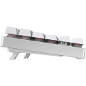 "CHERRY MX 8.2 Wireless Keyboard TKL WL (without suitcase)"