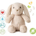 Cloud B Love Light Buddies Billy Bunny Humming Bunny lamp ja muusikakast