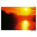 Harman punane 125 120 Harman punane 125 120